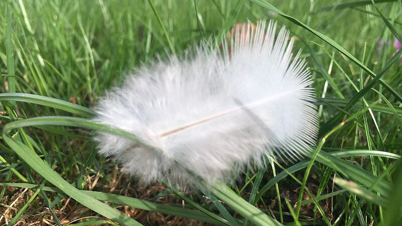 Soins énergétiques et rééquilibrage